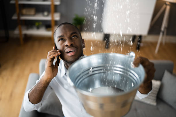 Best Flood damage cleanup  in Doe Valley, KY