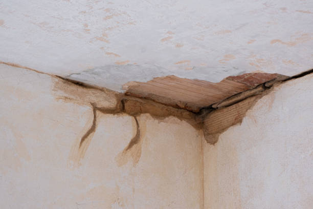 Best Water damage restoration near me  in Doe Valley, KY