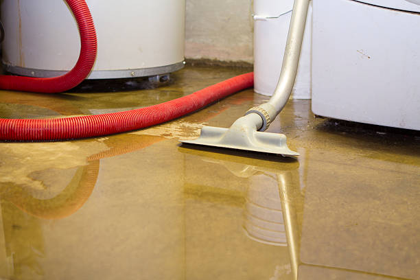 Best Water damage contractors near me  in Doe Valley, KY