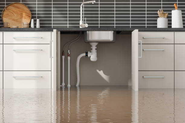 Best Water damage restoration near me  in Doe Valley, KY