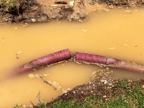 Best Commercial water damage restoration  in Doe Valley, KY